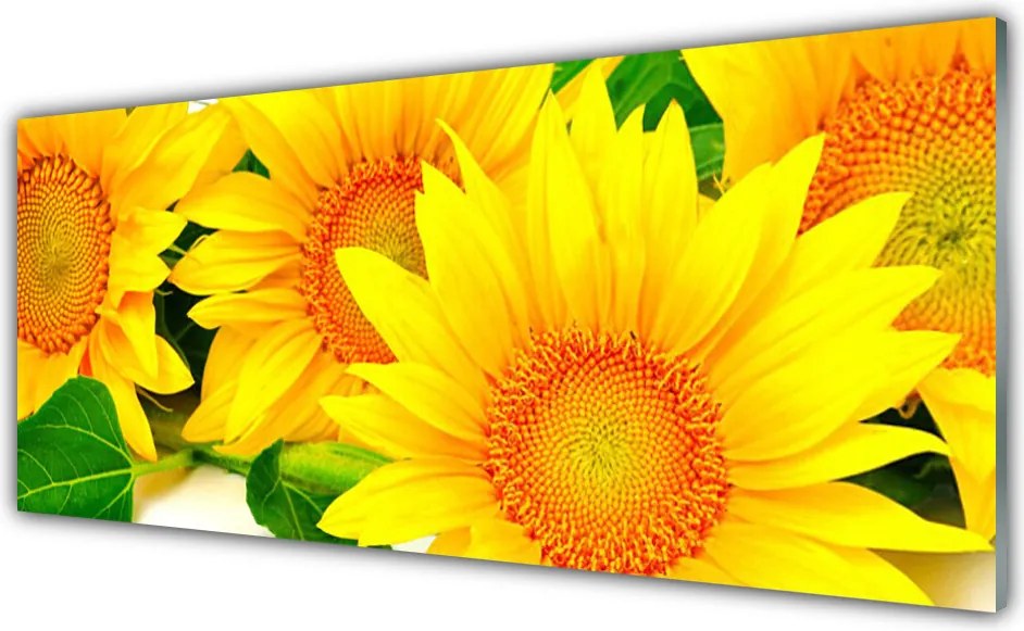 Panel Szklany Słonecznik pod Letnim Niebem