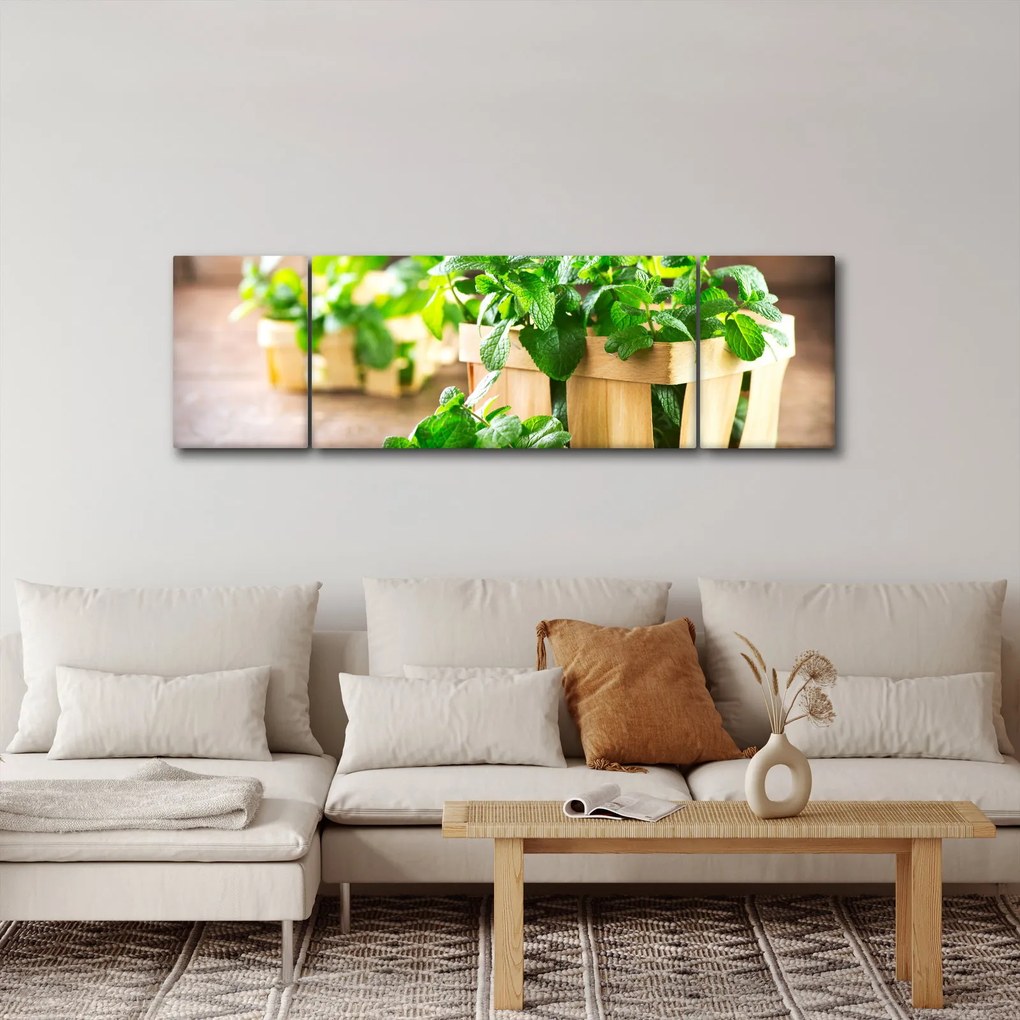 Obraz świeżej mięty (170x50 cm)