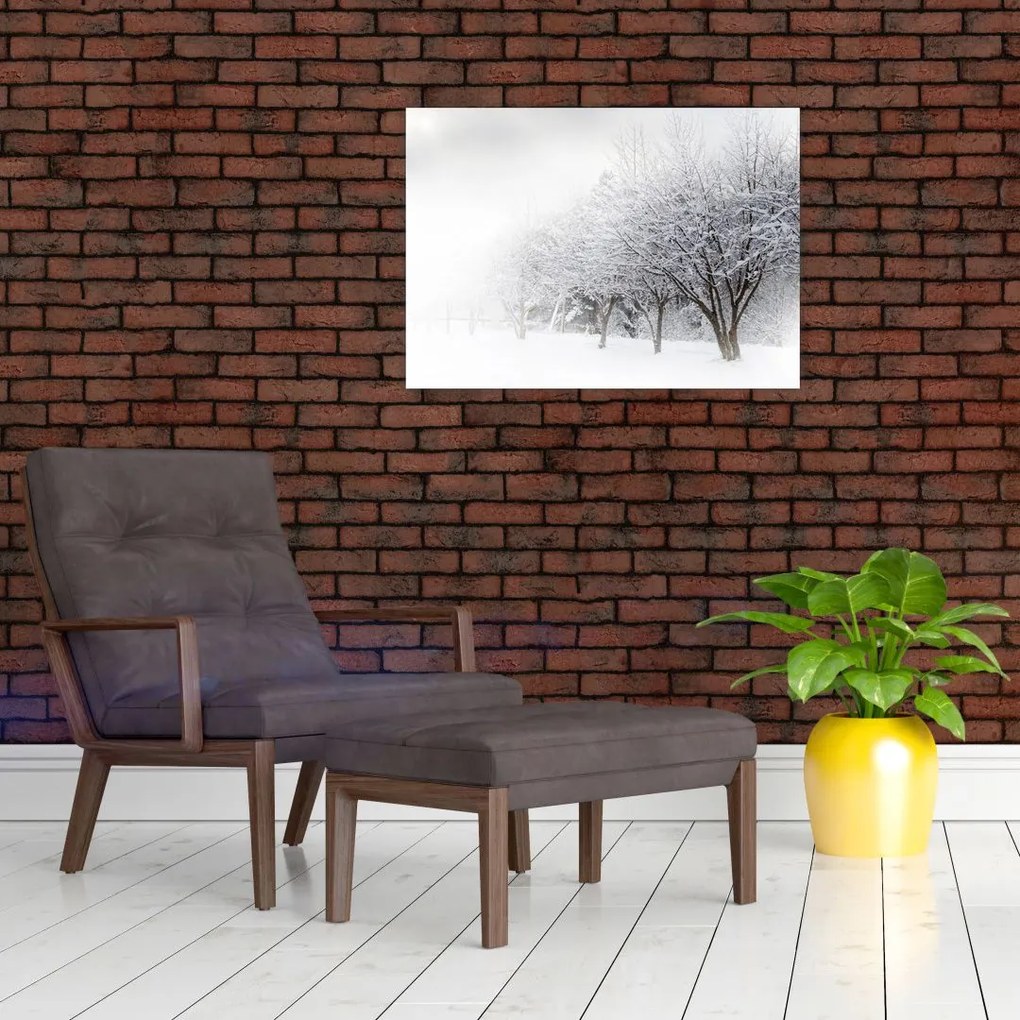 Obraz na szkle - Zimowa aleja (70x50 cm)
