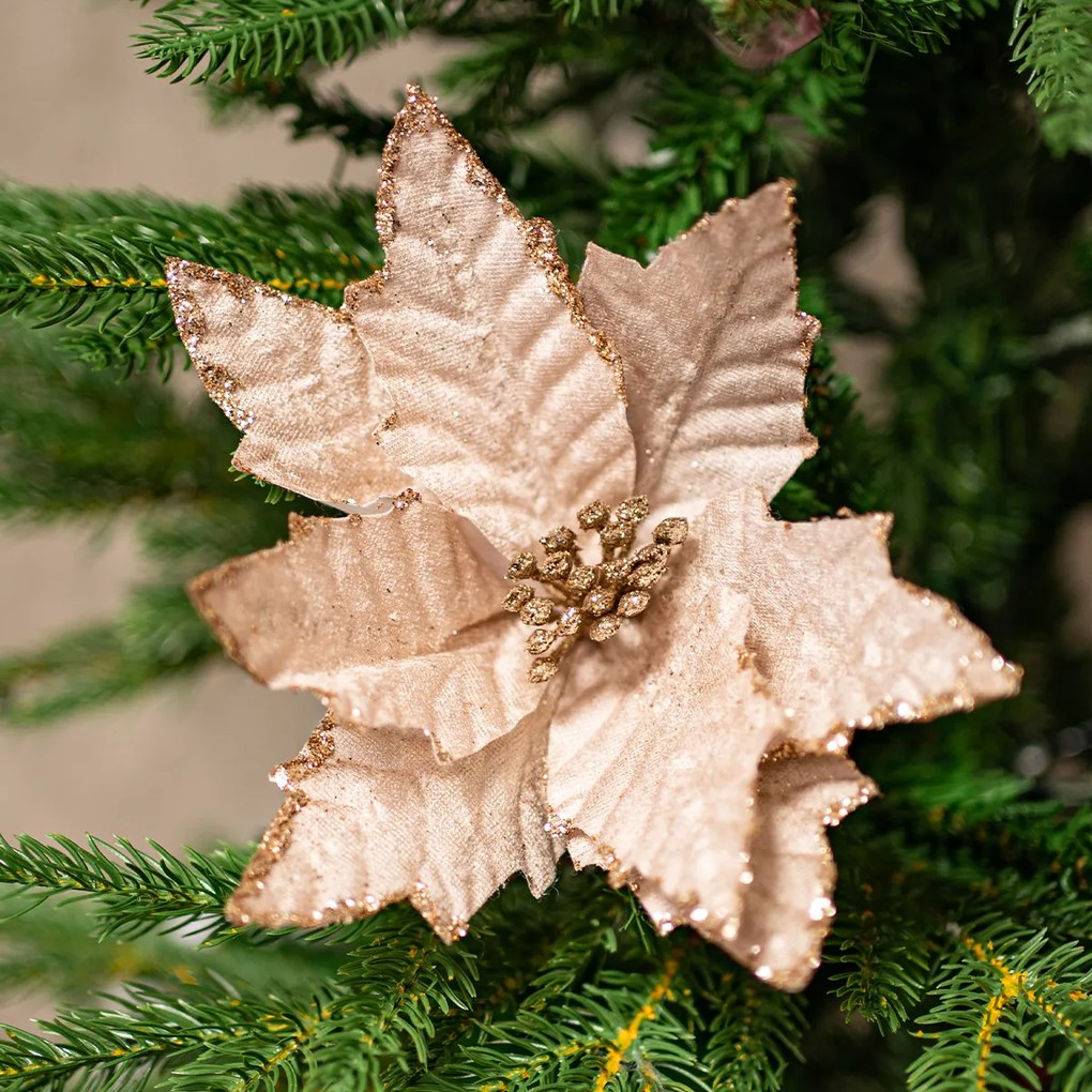 Kwiat poinsecji 22 cm, aksamitny, jasnomiedziany