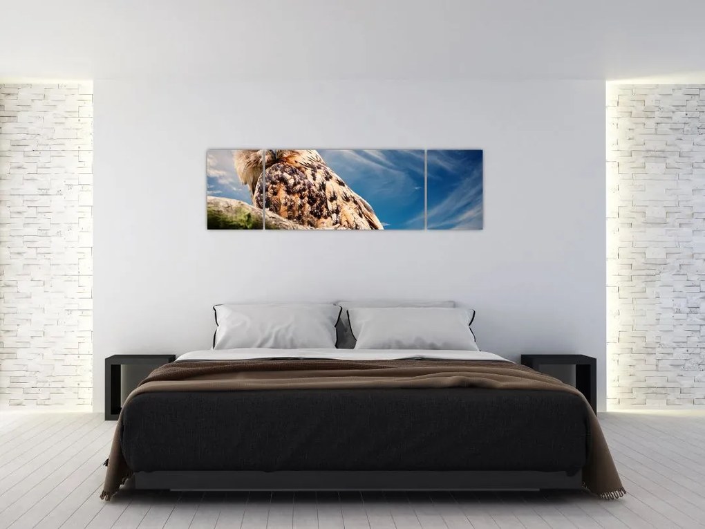 Obraz - Sowa (170x50 cm)