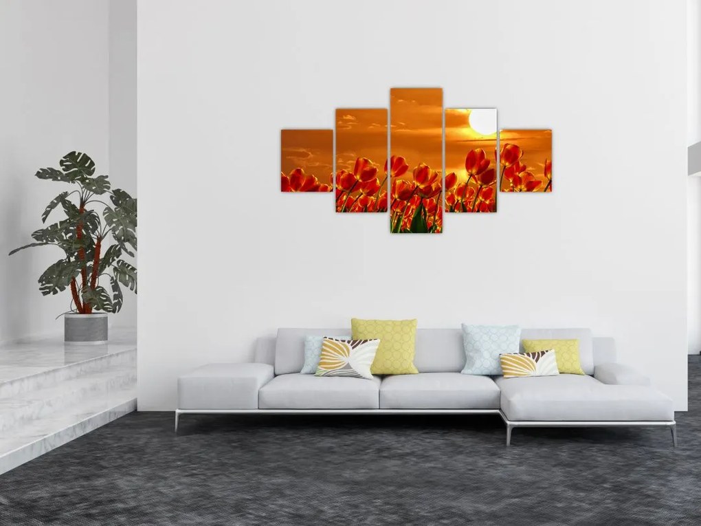 Obraz kwitnącego pola z tulipanami (125x70 cm)