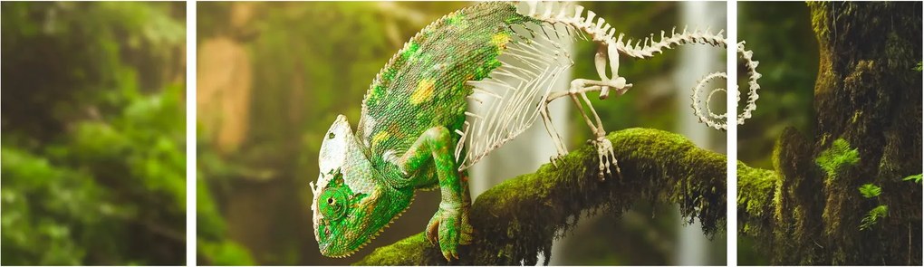 Obraz jaszczurki (170x50 cm)