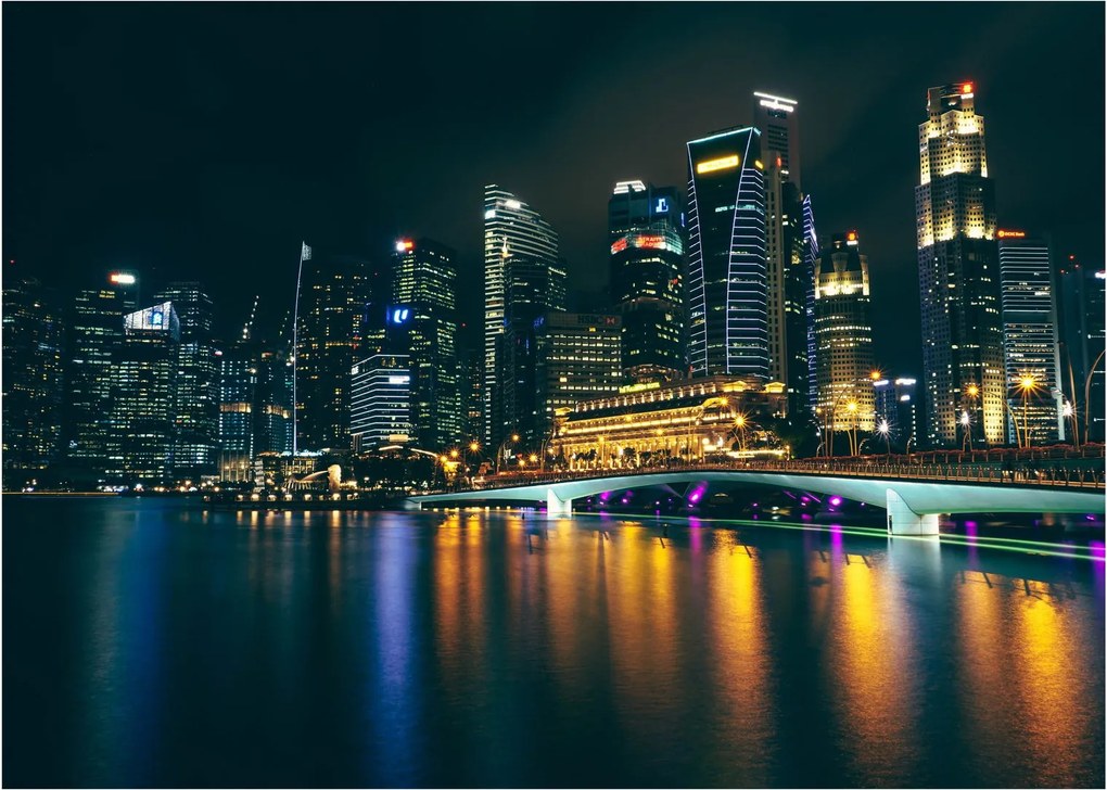Obraz Singapuru nocą (70x50 cm)