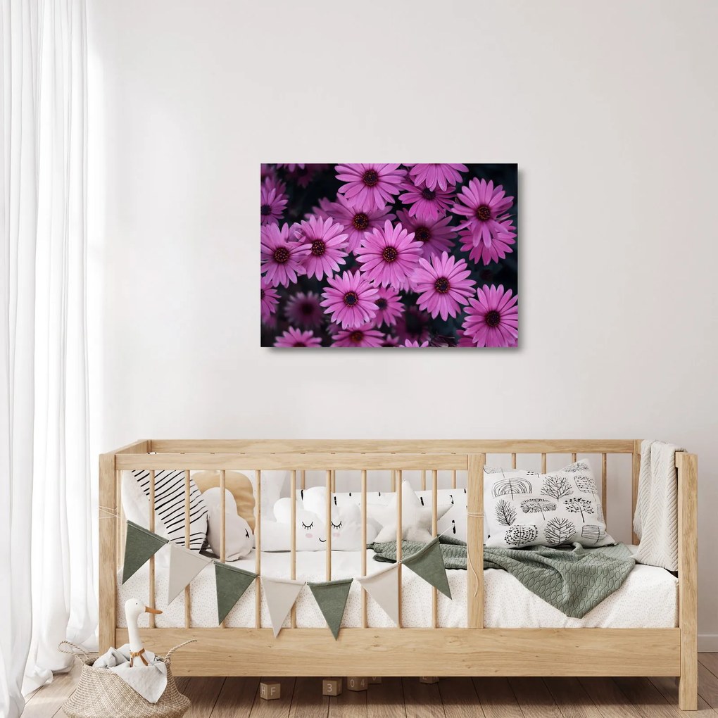 Obraz na szkle - różowe kwiaty (70x50 cm)