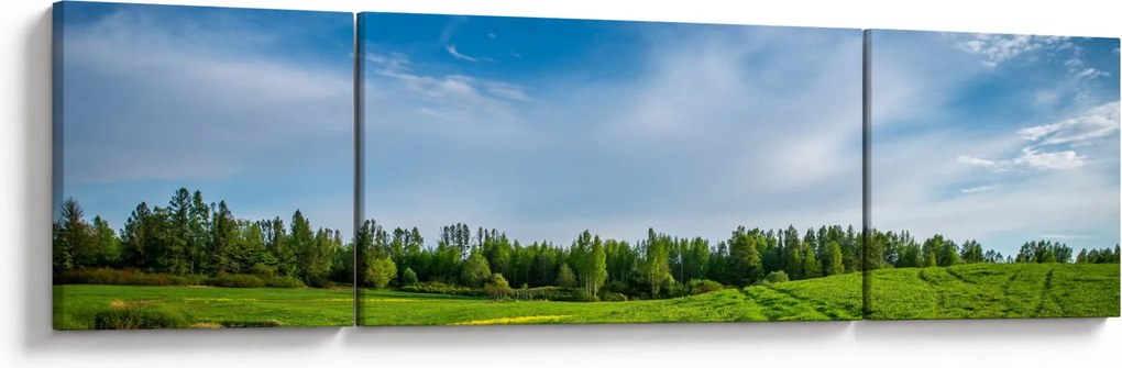 Obraz łąki (170x50 cm)