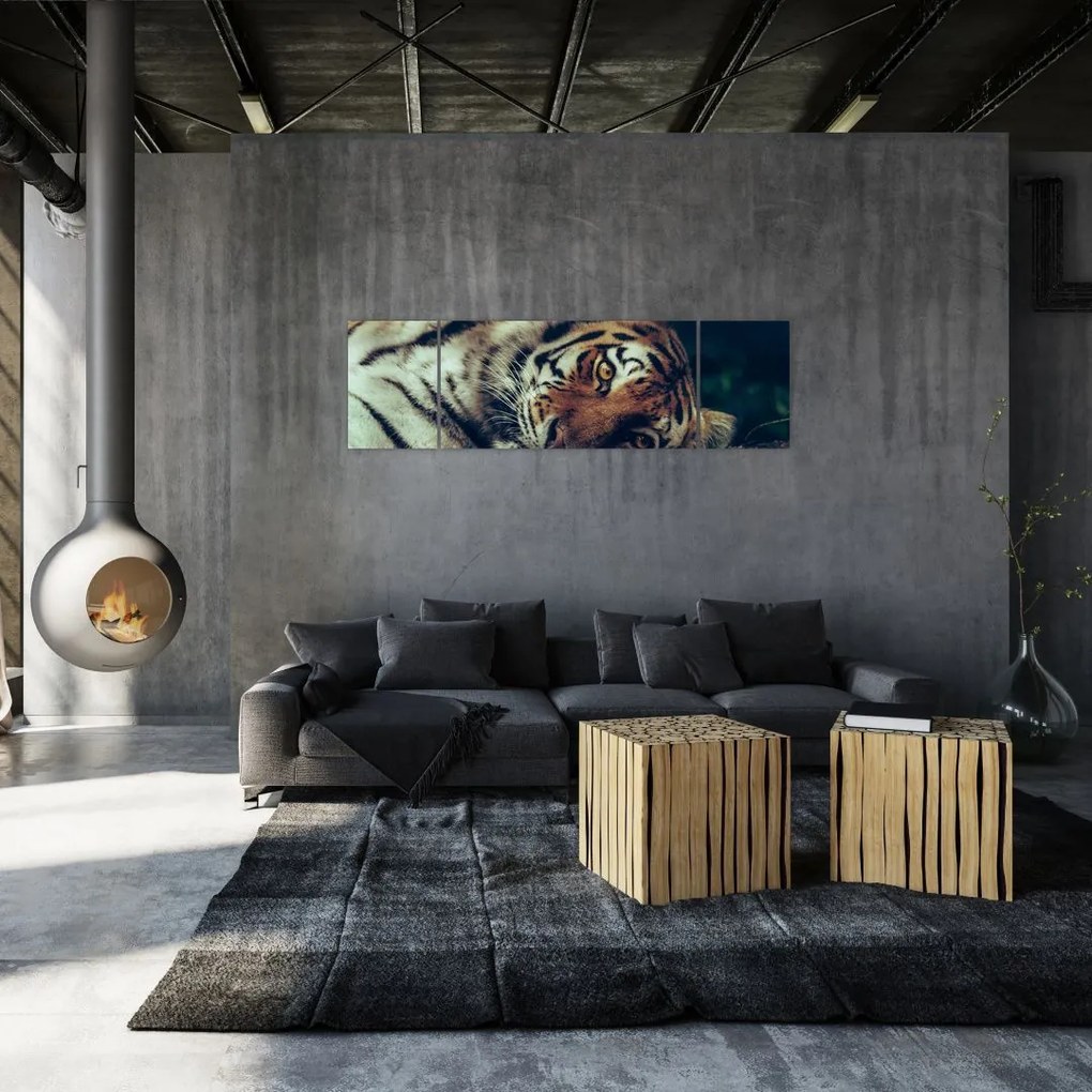 Obraz - tygrys syberyjski (170x50 cm)