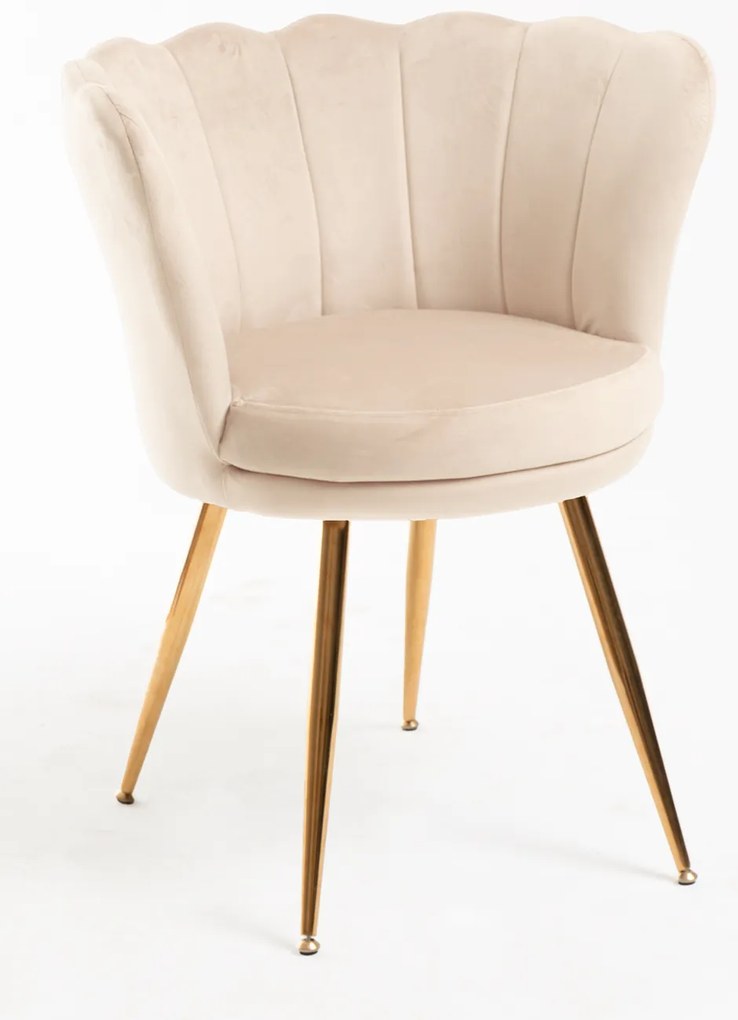Krzeso Dunsa Golden Velvet