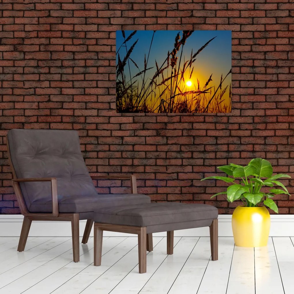 Obraz - Zachód słońca na łące (70x50 cm)