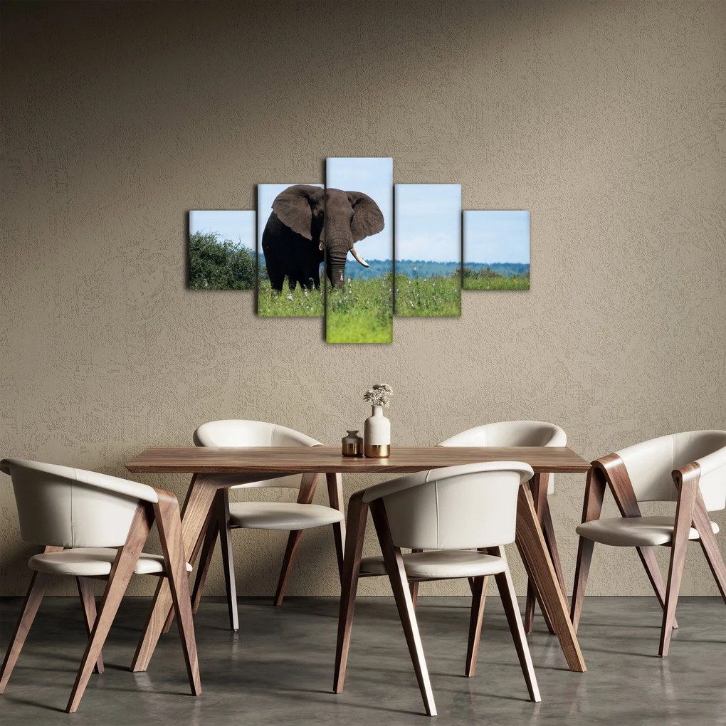 Obraz słonia (125x70 cm)