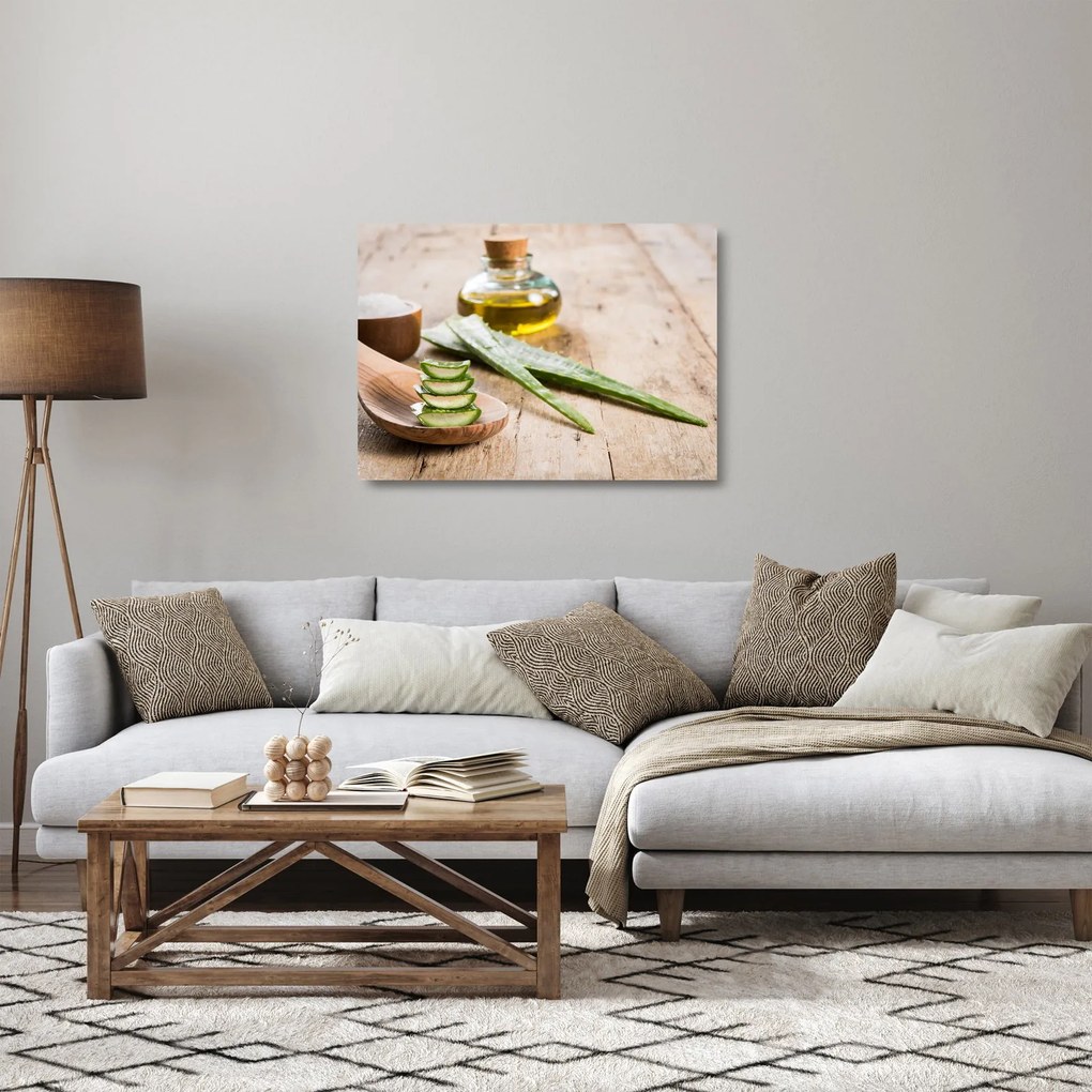 Obraz na szkle - Aloes (70x50 cm)