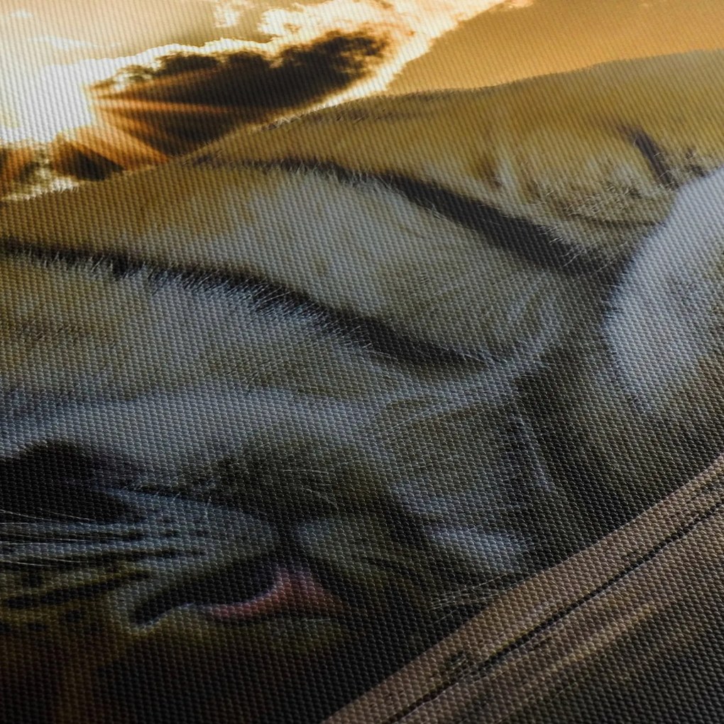 Obraz śpiącego tygrysa (170x50 cm)