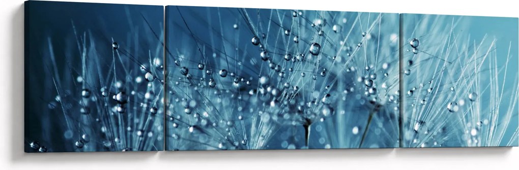 Obraz - Krople rosy (170x50 cm)