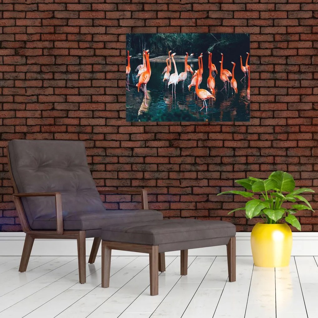 Obraz stada flamingów (70x50 cm)