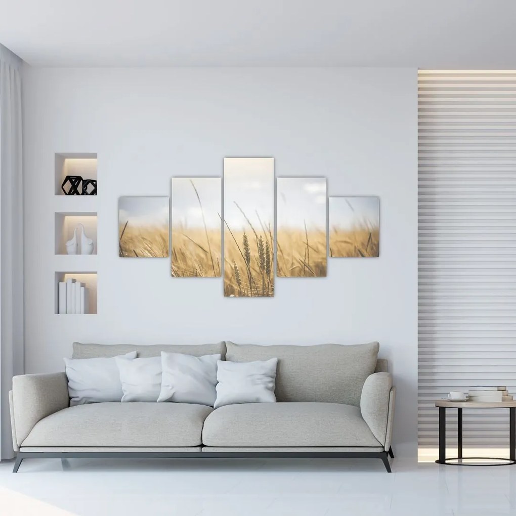 Obraz ziarna (125x70 cm)