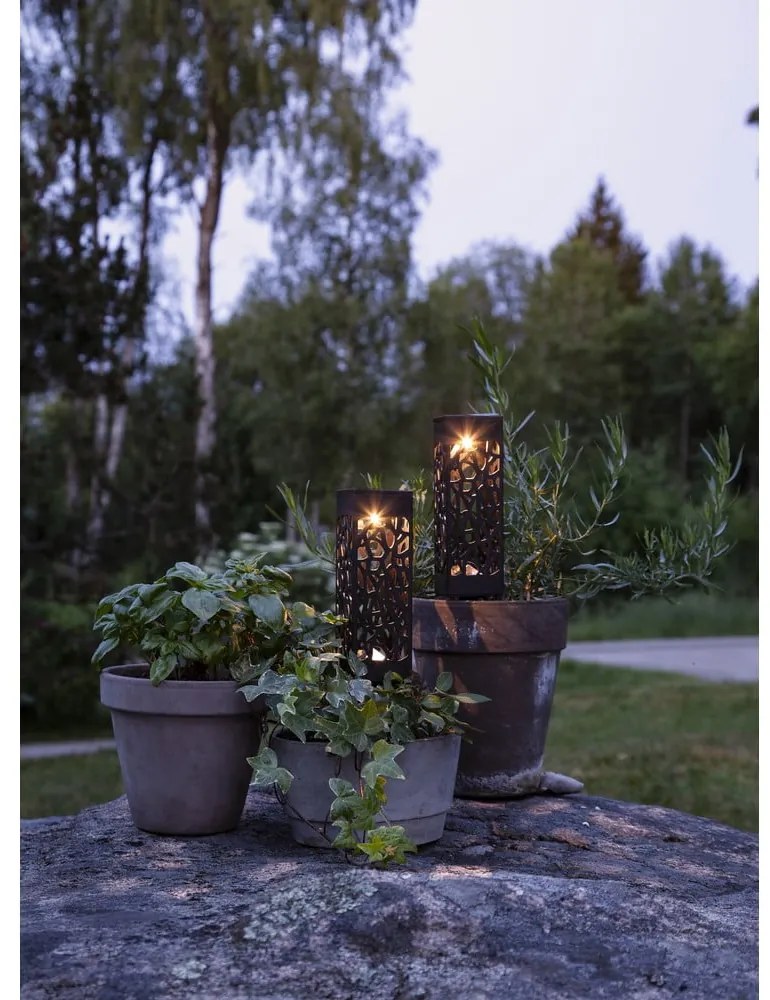 Zestaw 2 ogrodowych lamp solarnych LED Star Trading Izola, wys. 18 cm