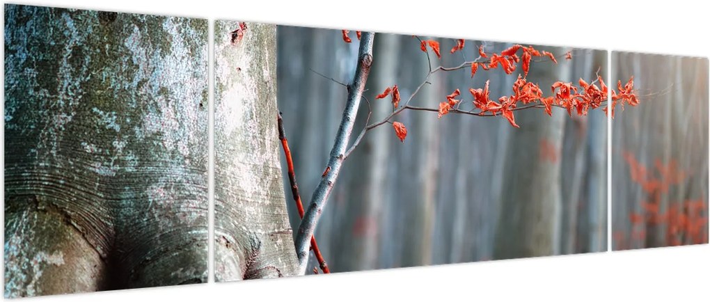 Obraz - Jesień (170x50 cm)