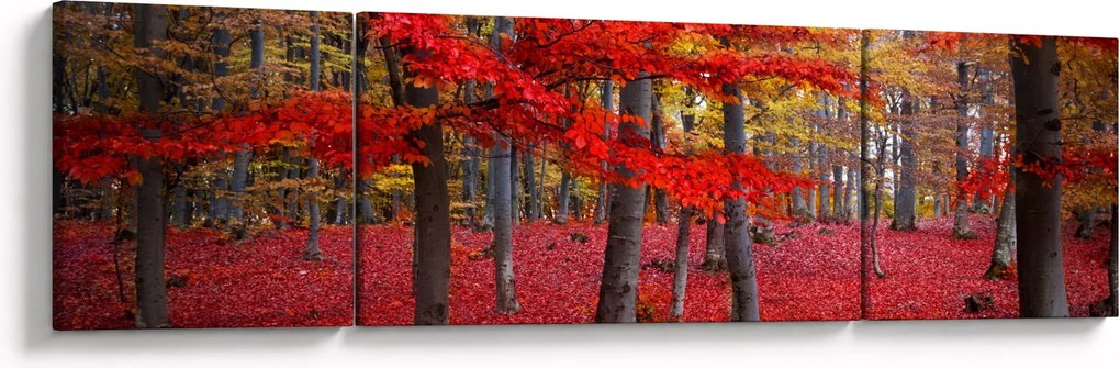 Obraz - Czerwony Las (170x50 cm)