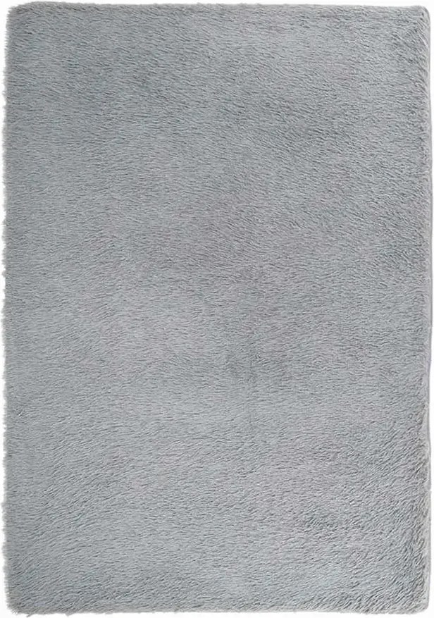 Jasnoszary prostokątny dywan 160x230 B6-E15