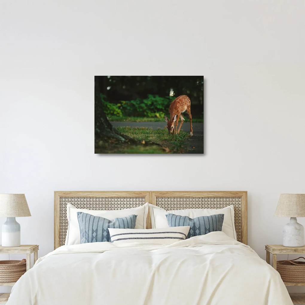 Obraz na szkle jelonka (70x50 cm)