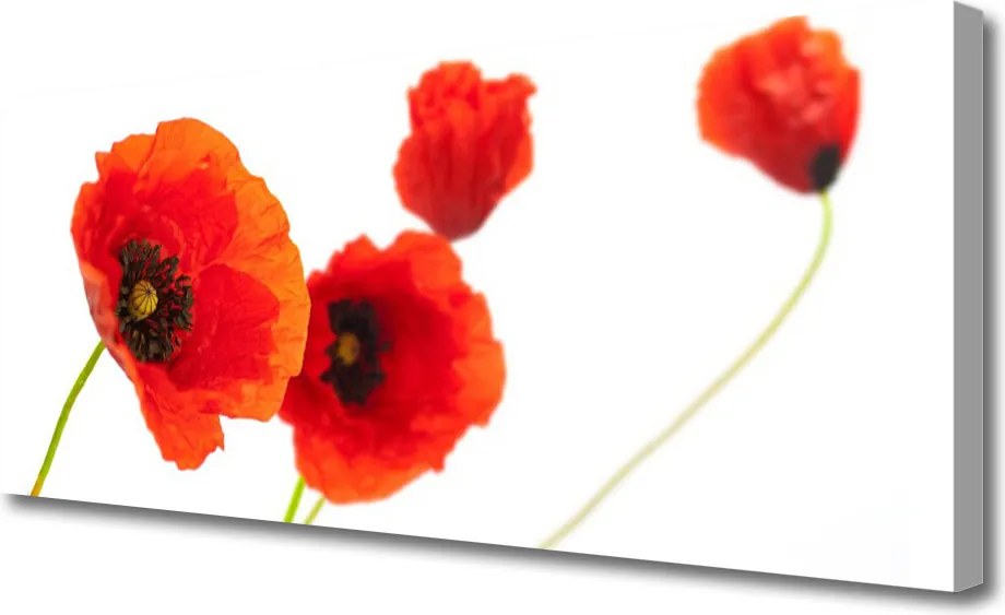 Obraz na płótnie Wiosenna Kompozycja Kwiatowa