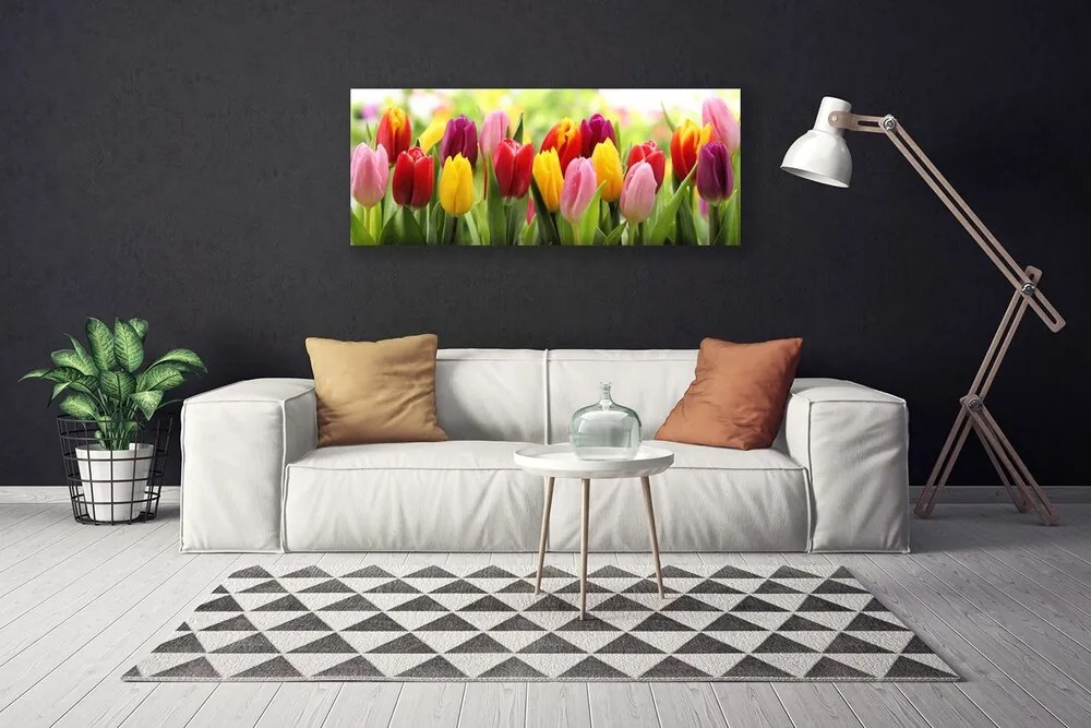 Obraz Canvas Tulipany Kwiaty Natura