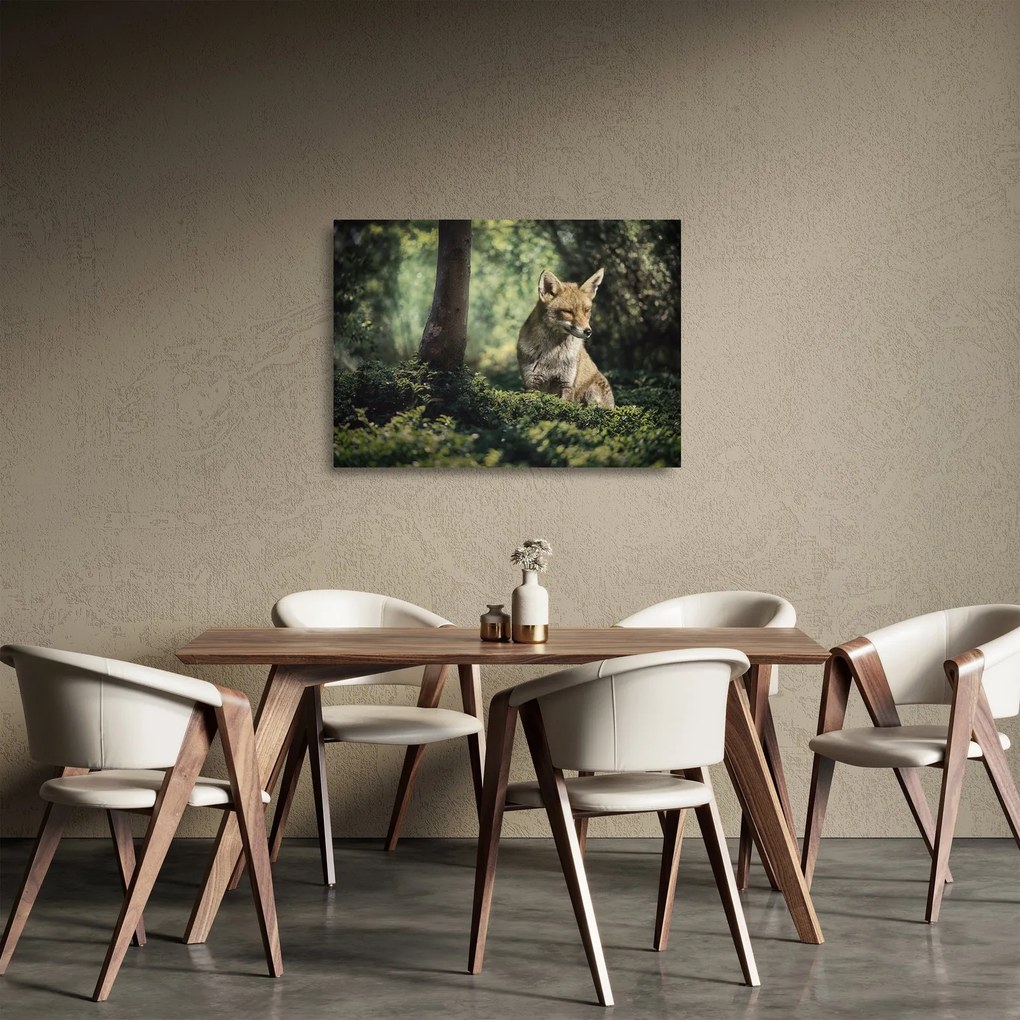 Obraz na szkle - lis (70x50 cm)