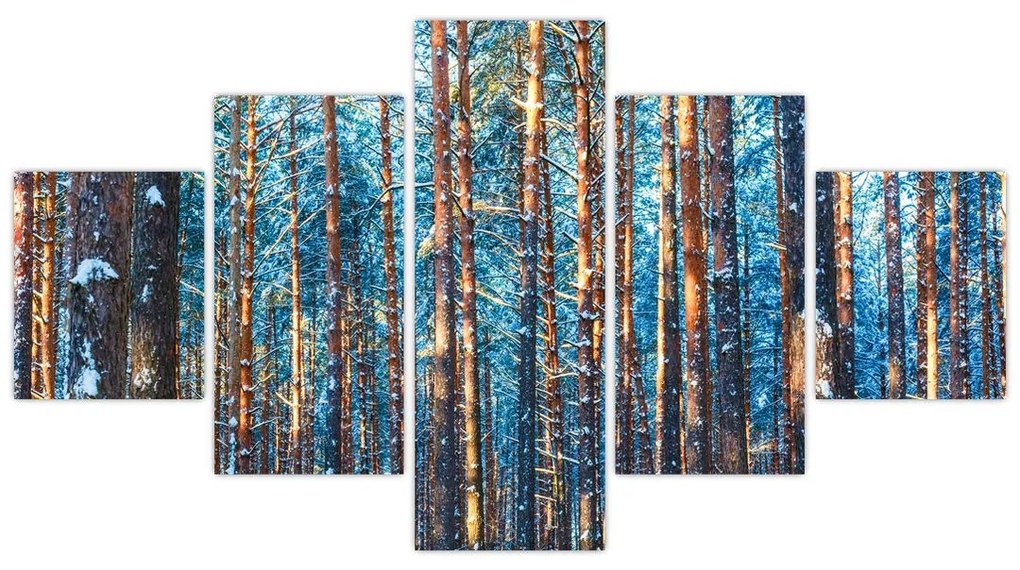 Obraz - Zimowy las (125x70 cm)