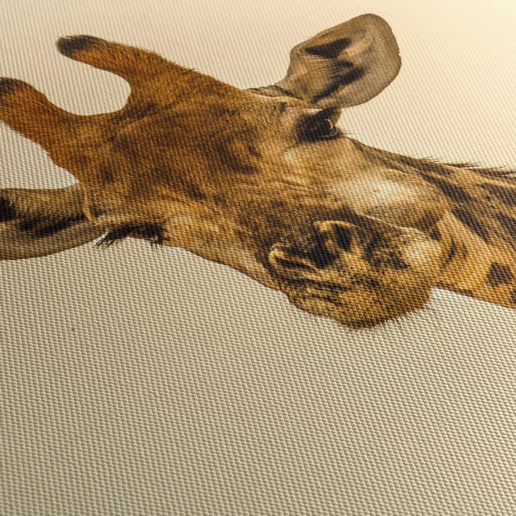 Obraz żyrafy (125x70 cm)