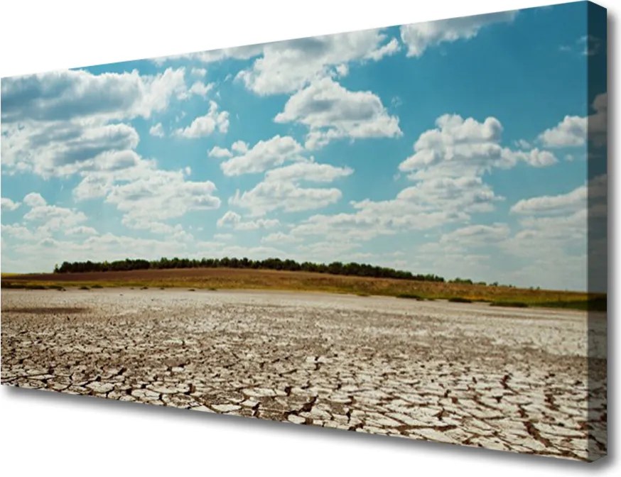 Fotoobraz na płótnie Wydmy Piaszczystej Pustyni