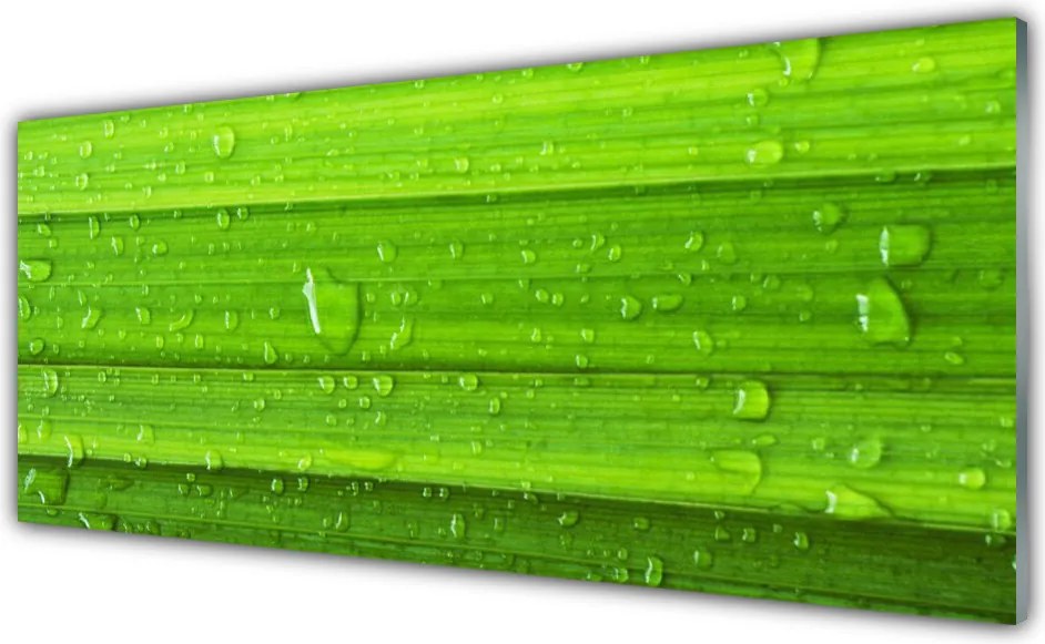 Szkło do Kuchni na Ścianę Soczysta Zieleń Polany