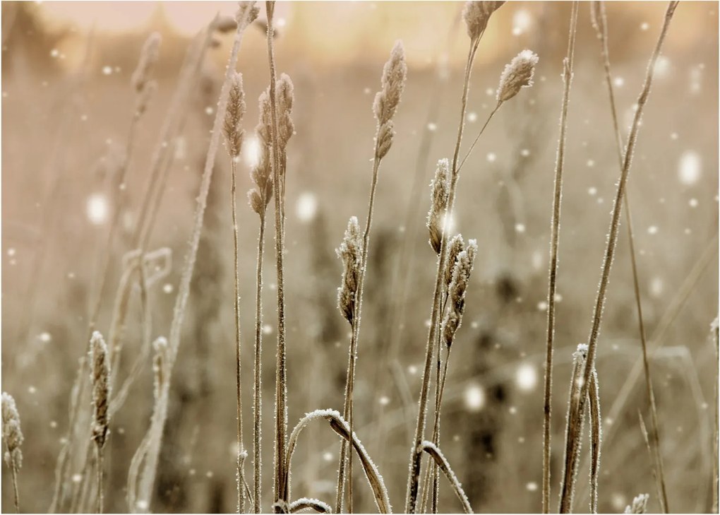 Obraz na szkle - Harmonious Meadow (70x50 cm)