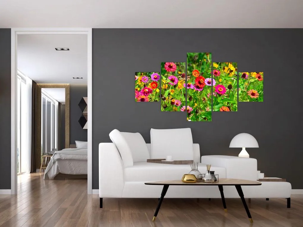 Obraz kwiatów polnych (125x70 cm)