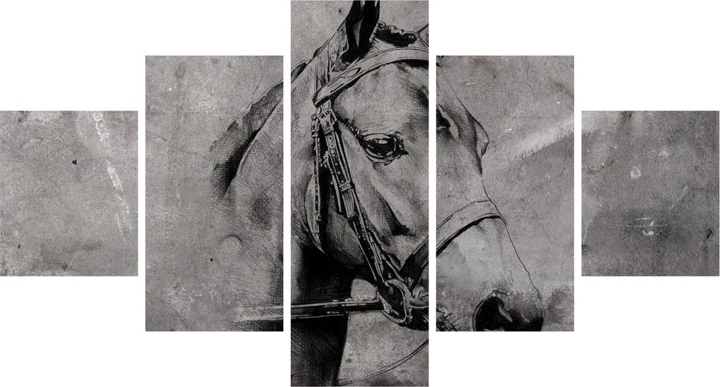 Obraz - Portret konia (125x70 cm)