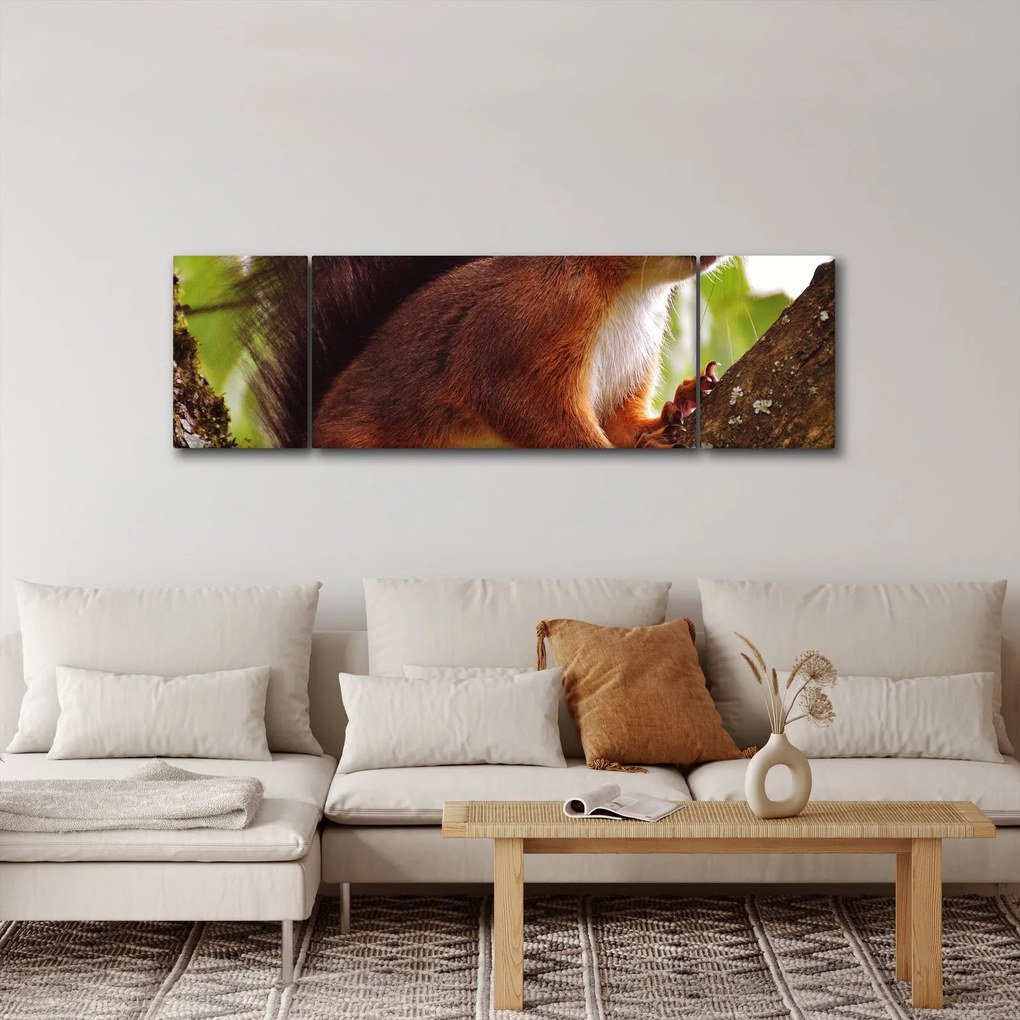Obraz wiewiórki (170x50 cm)