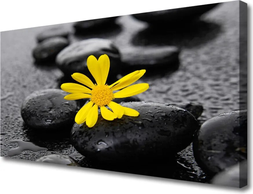 Obraz canvas Harmonia Zen: Róże i Skały