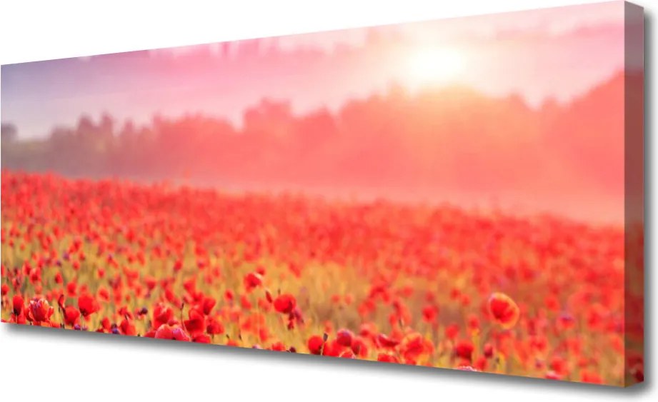 Obraz na płótnie Sielska Łąka w Kwiatach