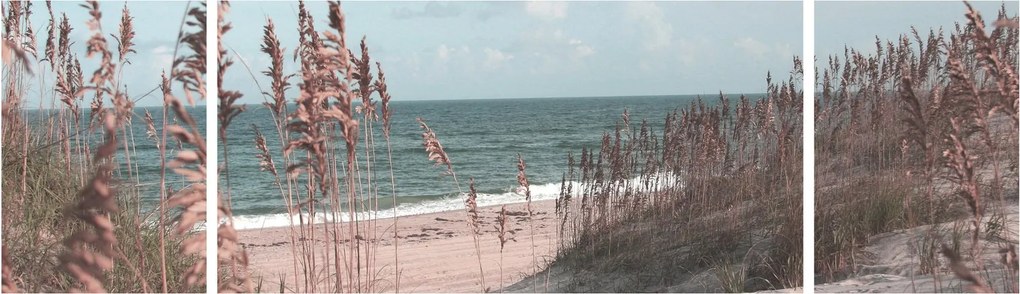 Obraz - Różowa plaża (170x50 cm)