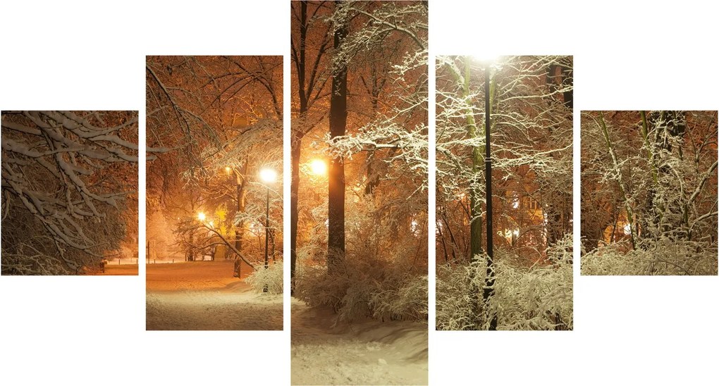 Obraz - Zaśnieżony park (125x70 cm)