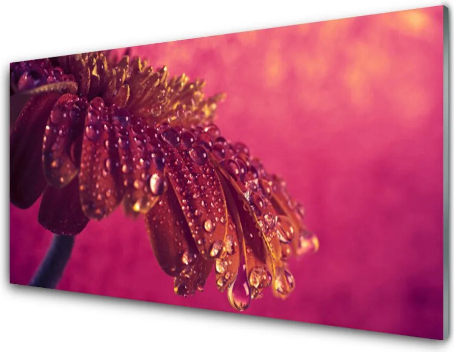 Panel Szklany Majestatyczne Drzewo w Polu