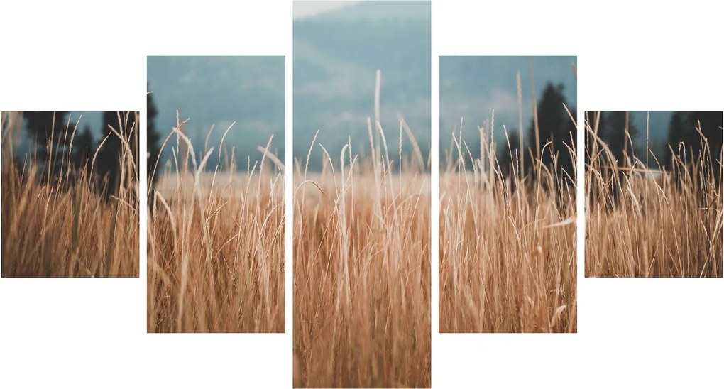 Obraz - szczegół łąki (125x70 cm)