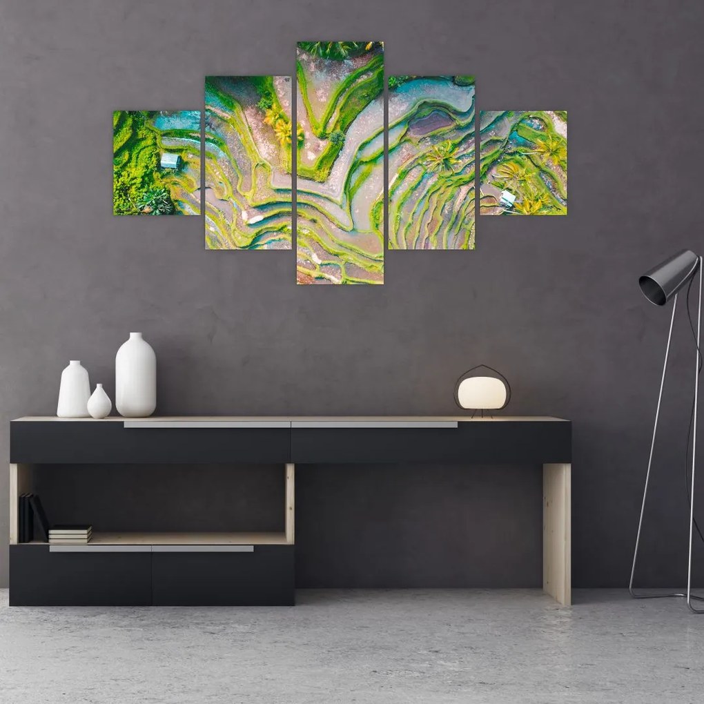 Obraz pól ryżowych z lotu ptaka (125x70 cm)