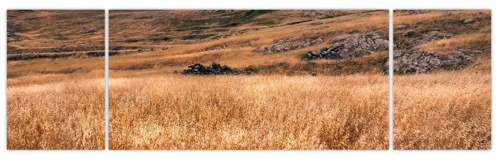Obraz pola (170x50 cm)
