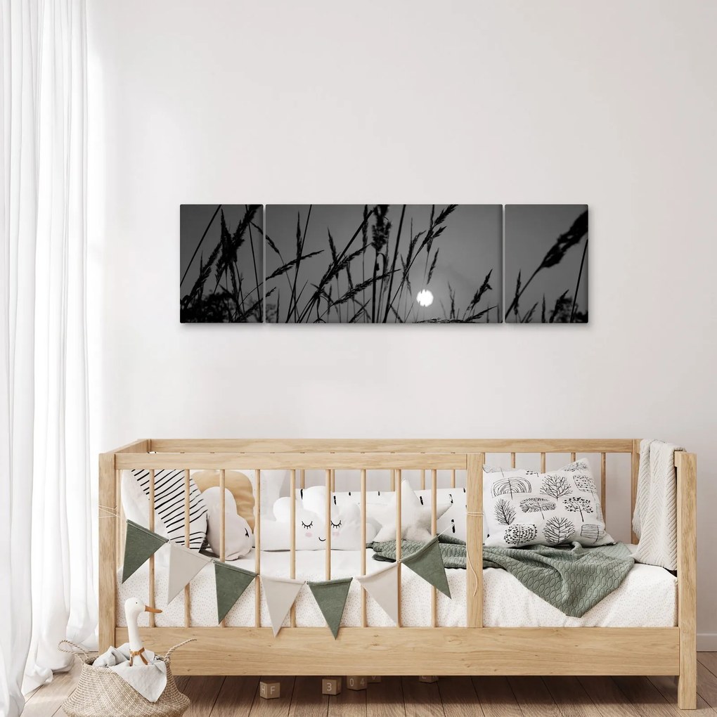 Obraz - Łąka z zachodem słońca (170x50 cm)