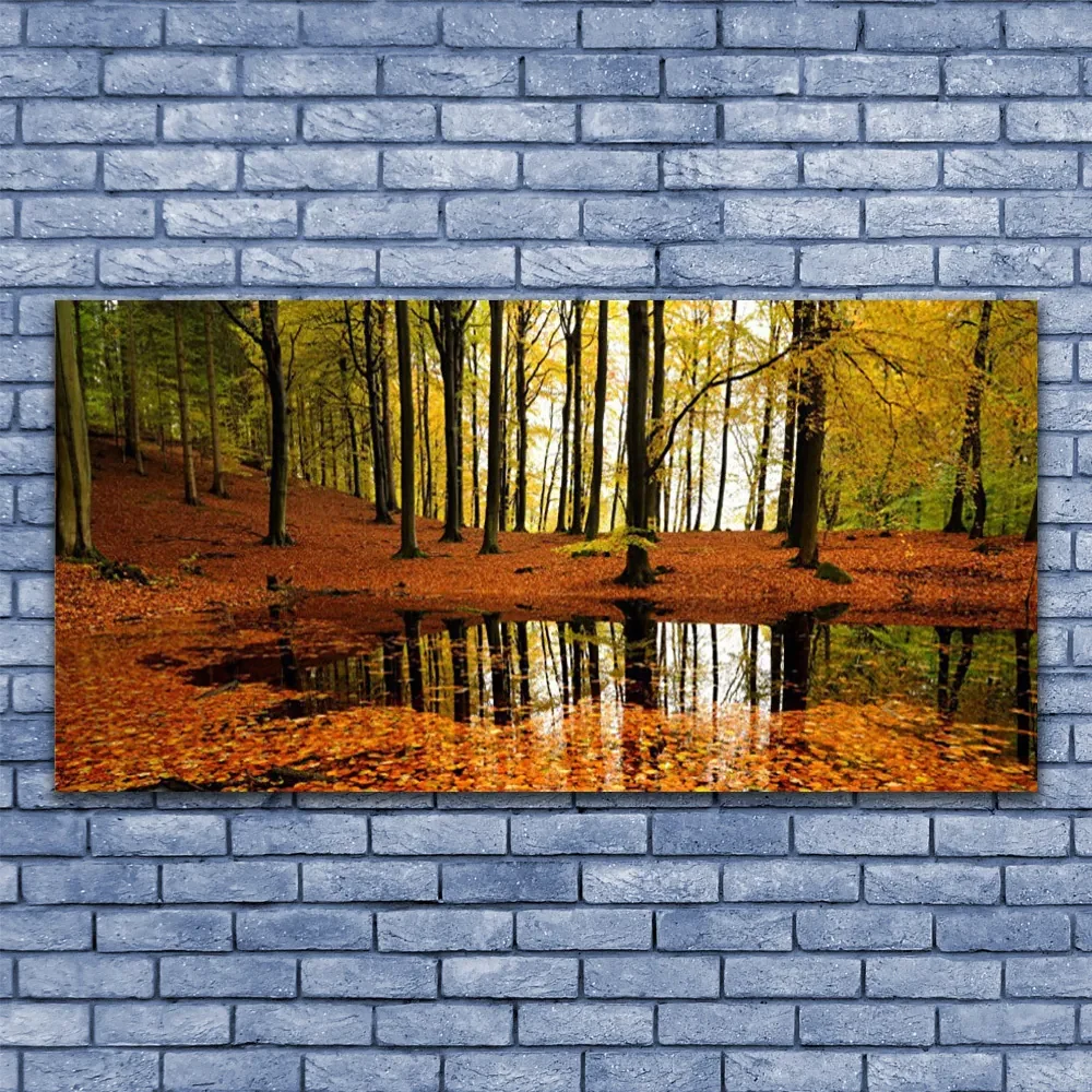 Obraz Akrylowy Las Natura Drzewa