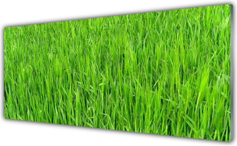 Panel Szklany Soczysta Zielona Murawa