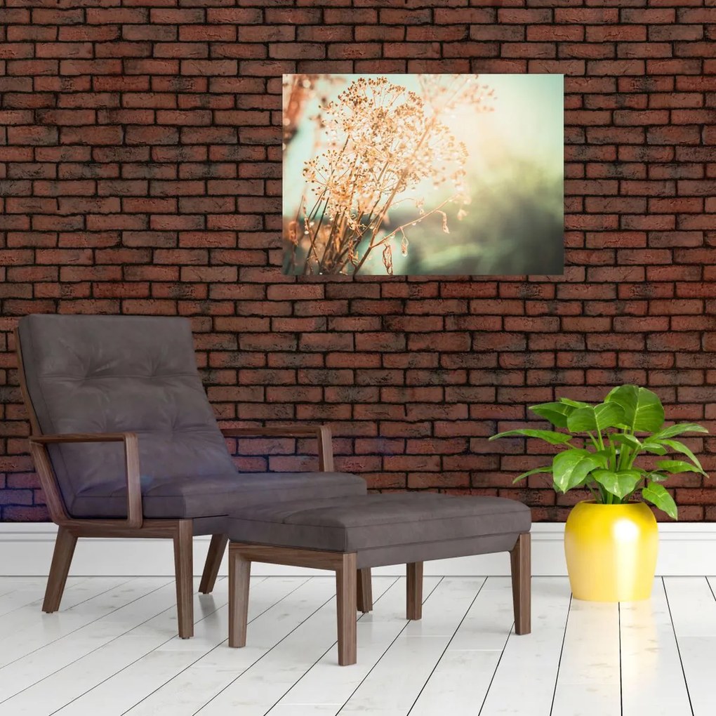 Obraz - Rośliny po deszczu (70x50 cm)