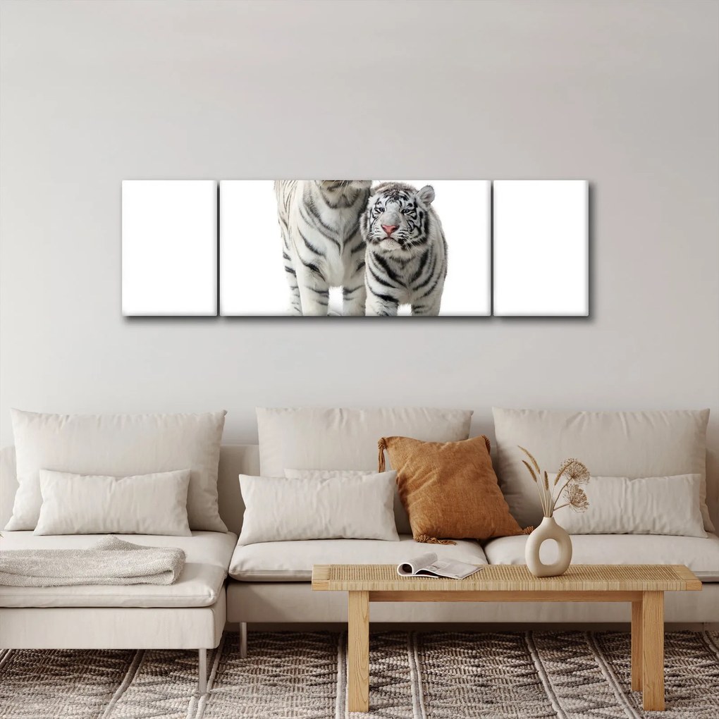 Obraz - Biały Tygrys (170x50 cm)