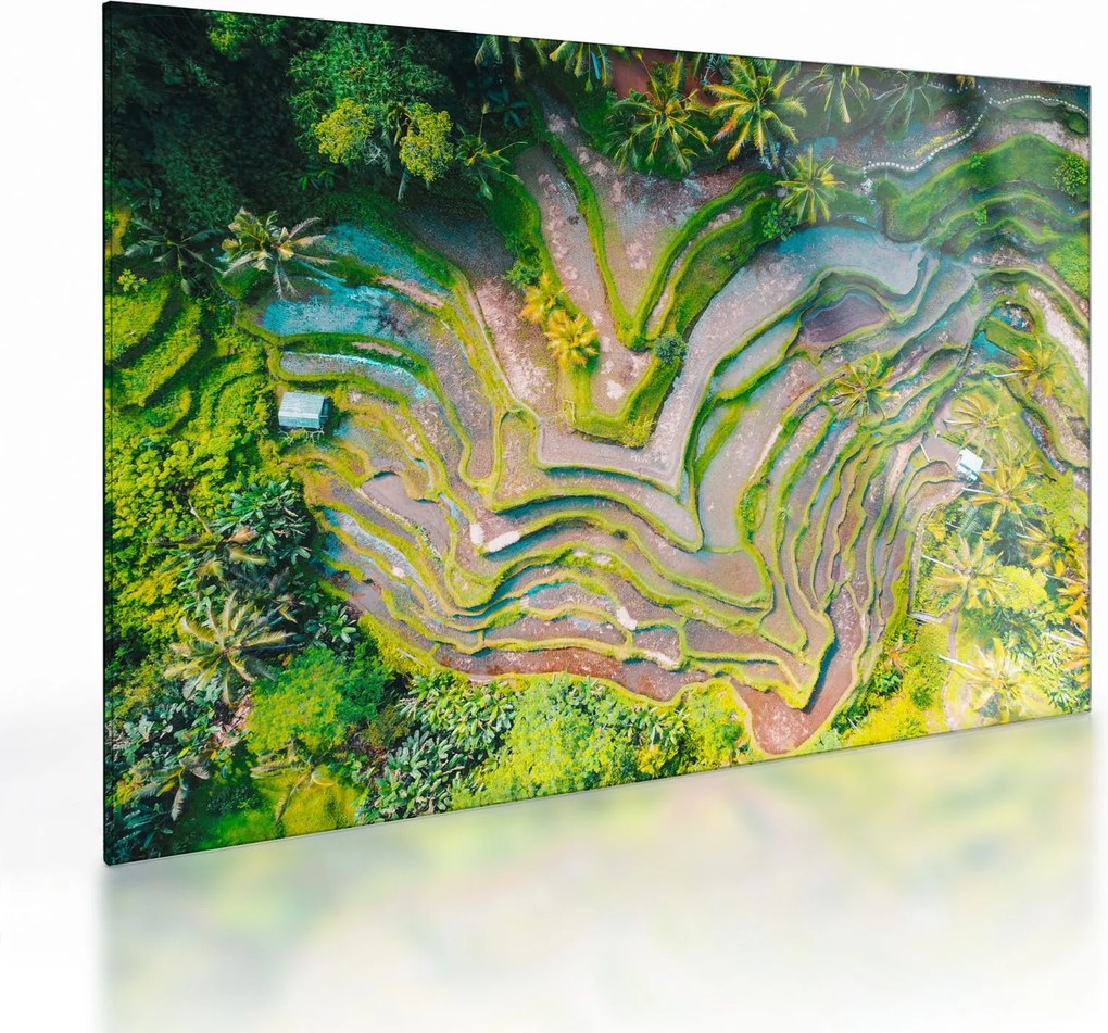 Obraz na szkle pól ryżowych z lotu ptaka (70x50 cm)