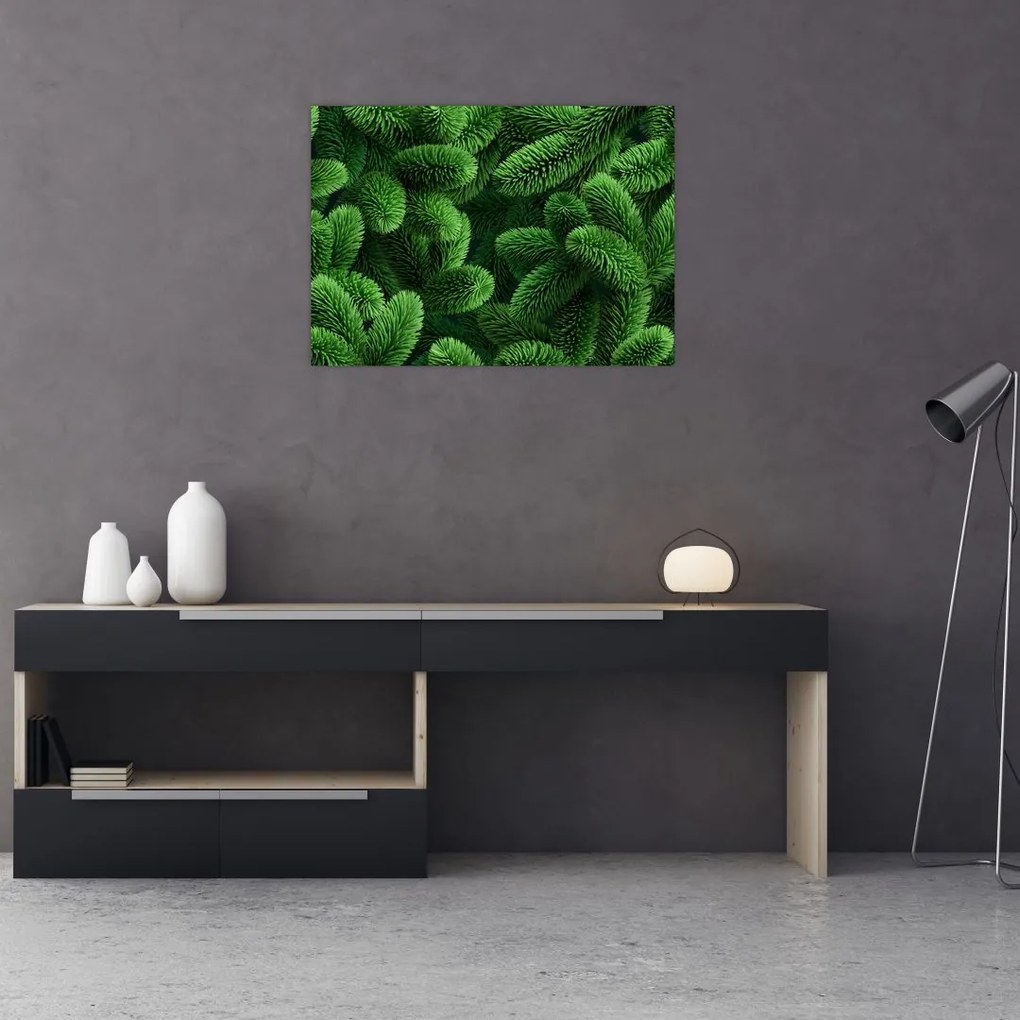 Obraz na szkle - Gałązki drzew iglastych (70x50 cm)